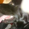 Photo de Junior
