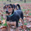 Photo de Lady