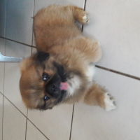 Photo de profil de Misty