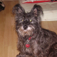 Photo de profil de Winny