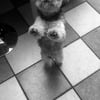 Photo de Happy