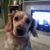 Photo de Marguerite