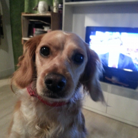 Photo de profil de Marguerite