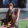 Photo de Calypso