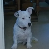 Photo de profil de OSCAR