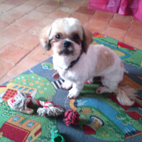 Photo de profil de POLLUX 