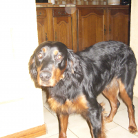 Photo de profil de Sam