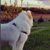 Photo de Jaska