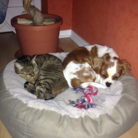 Photo de profil de June