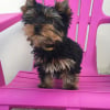 Photo de Maxi 