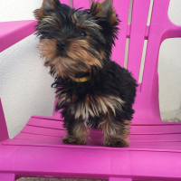 Photo de profil de Maxi 