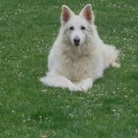 Photo de profil de Alaska