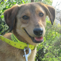 Photo de profil de Bibou - Décédé le 22/04/2017