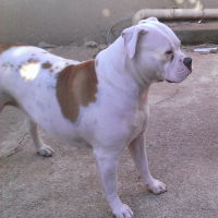 Photo de profil de lady