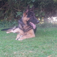 Photo de profil de Hura 