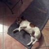 Photo de Kirou