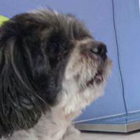 Photo de profil de DODDY