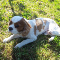 Photo de profil de Babouu