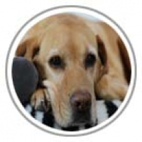 Photo de profil de Louna