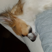 Photo de profil de Miss Molly