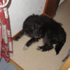 Photo de Bobine