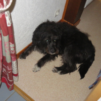 Photo de profil de Bobine