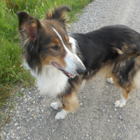 Photo de profil de belle