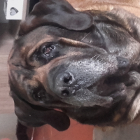 Photo de profil de Aslan