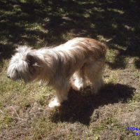 Photo de profil de URIO