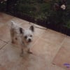 Photo de JUMPY