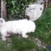 Photo de MANGO