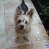 Photo de CESAR