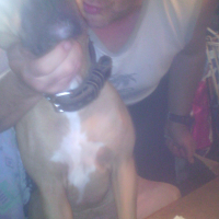 Photo de profil de Preska