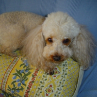 Photo de profil de SALLY