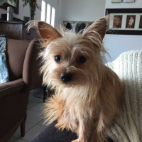 Photo de profil de Rebelle