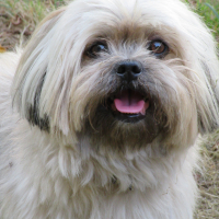 Photo de profil de benjy