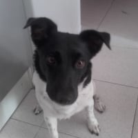 Photo de profil de jonquille