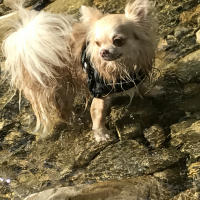 Photo de profil de Luca