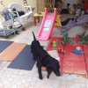 Photo de Marley