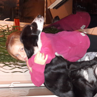 Photo de profil de Inuk