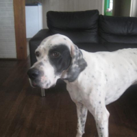 Photo de profil de Crockdur