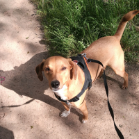 Photo de profil de Biscuit