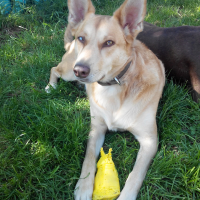 Photo de profil de Luz