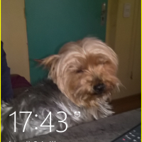 Photo de profil de pisani Hugo