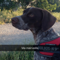 Photo de profil de Coxi
