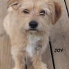 Photo de JOY