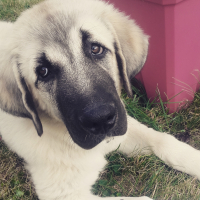 Photo de profil de Neo
