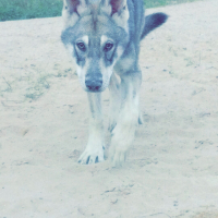 Photo de profil de Nash