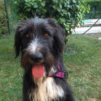 Photo de profil de Prince