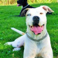 Photo de profil de Iona 